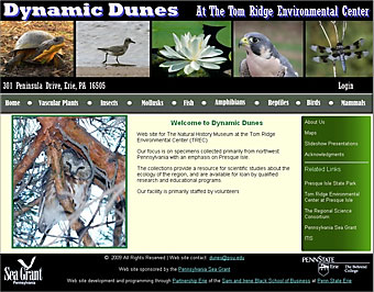 Visit the Dynamic Dunes website
