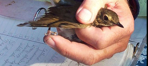 TREC Outdoors Research